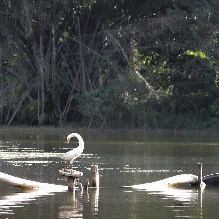 Pousada Paraiso Verde Conde  Luaran gambar