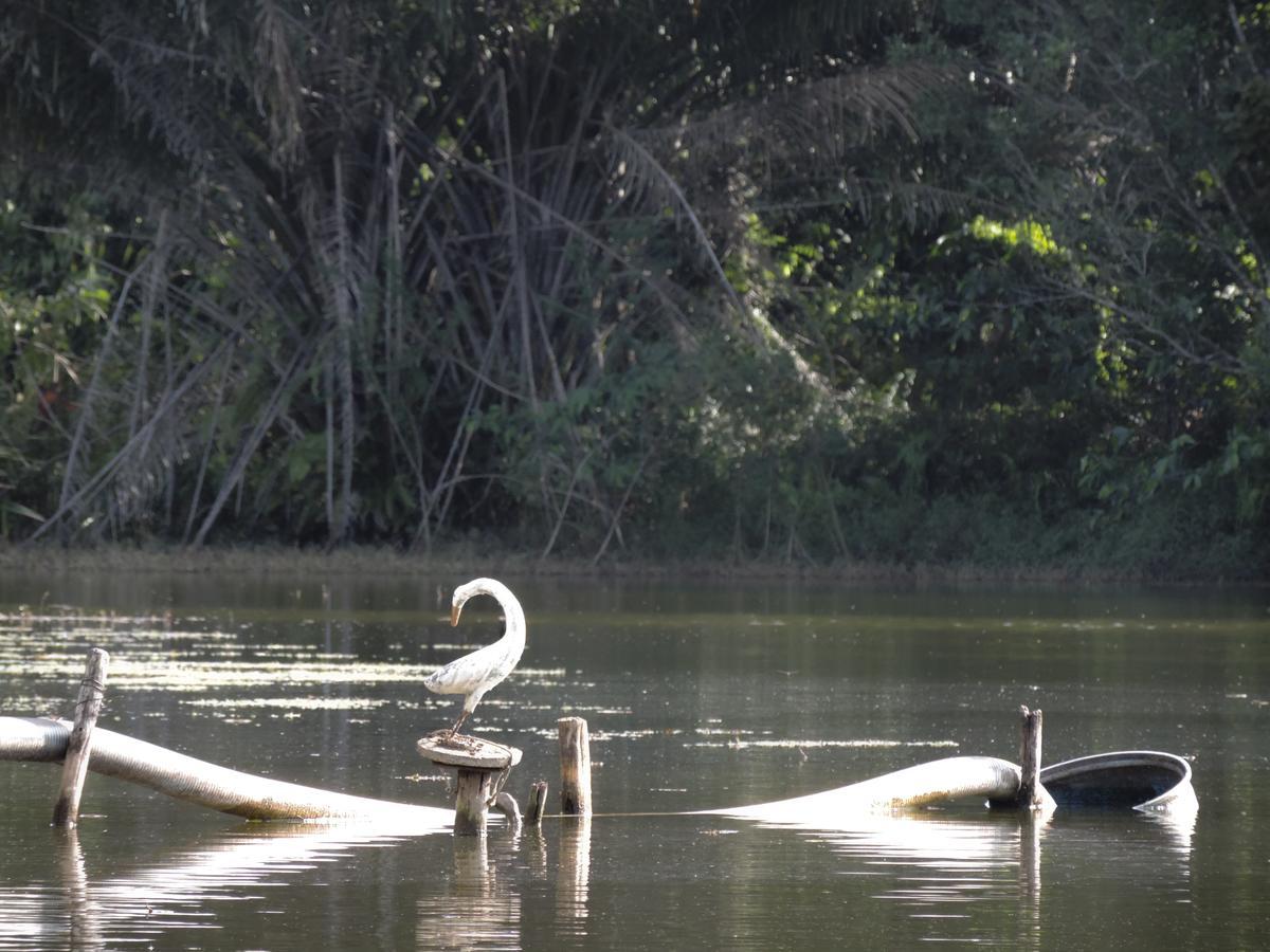 Pousada Paraiso Verde Conde  Luaran gambar